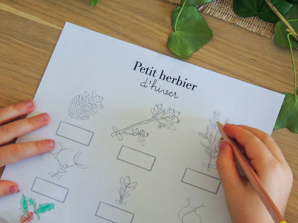 Le Petit herbier d'hiver à compléter