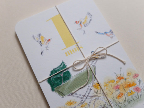 Lot de 12 cartes mois