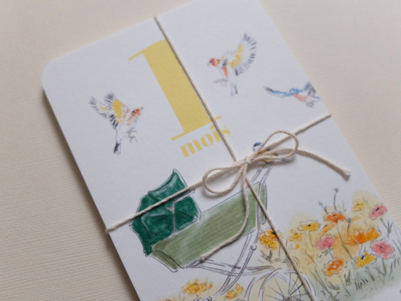 Lot de 12 cartes mois