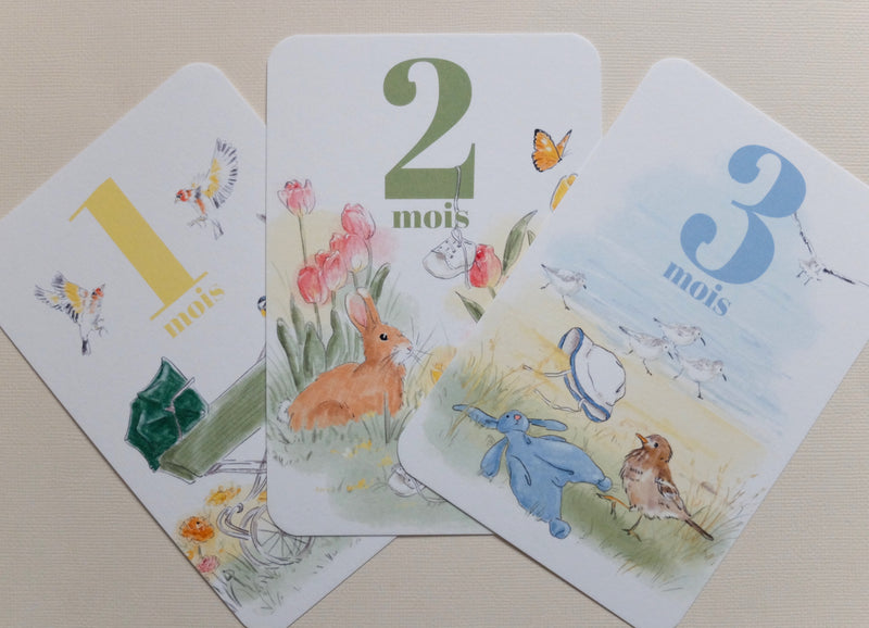 Lot de 12 cartes mois