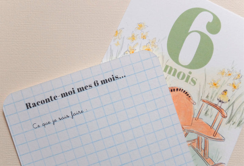 Lot de 12 cartes mois
